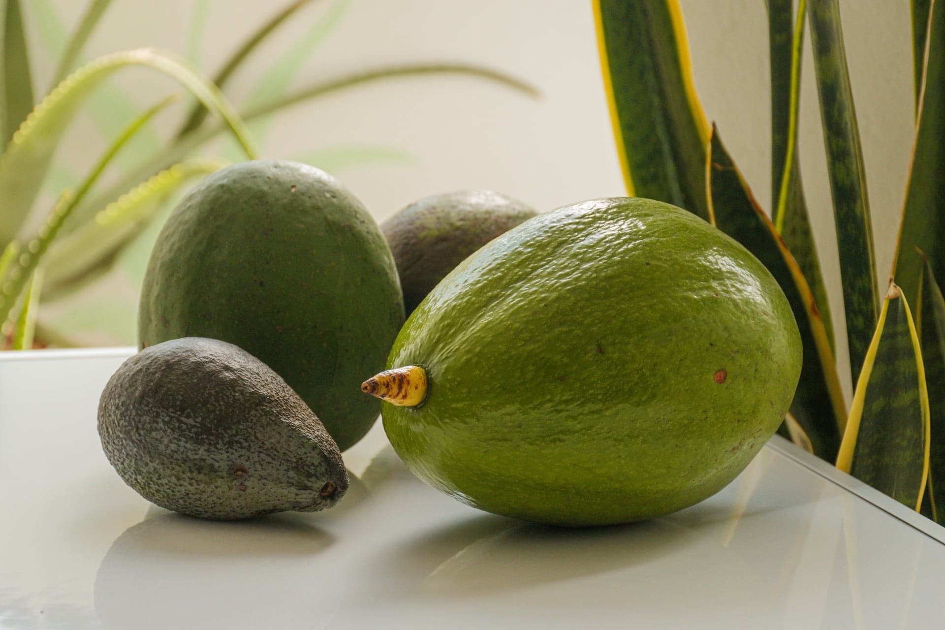 Fresh avocado
